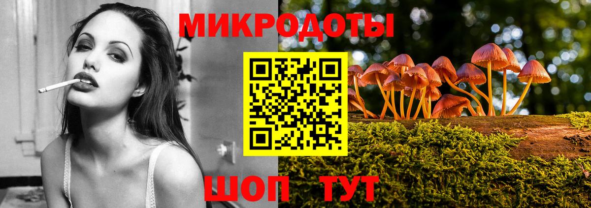 Псилоцибиновые грибы Psilocybine cubensis Белореченск