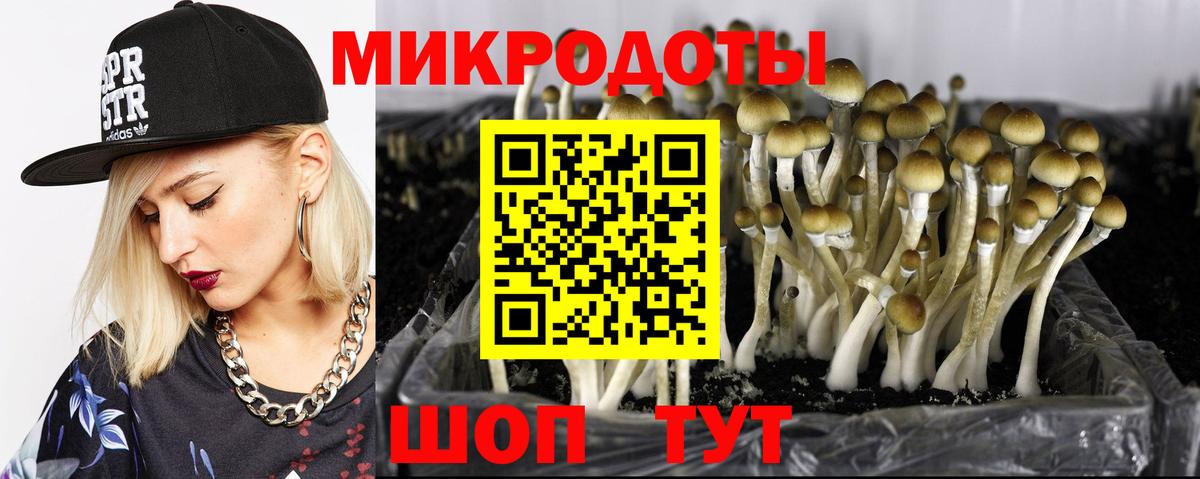 Псилоцибиновые грибы Magic Shrooms  Вход с VPN  Белореченск 